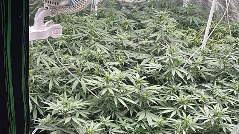 Kuşadası’nda uyuşturucu operasyonu; 3 gözaltı