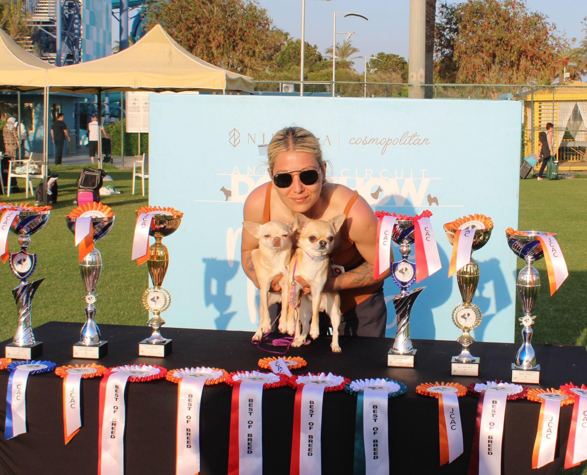 Aladar, 1500 köpek arasında Türkiye şampiyonu oldu