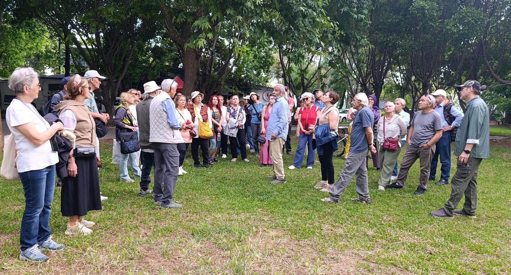 Antalya’da göçmen ağaçları