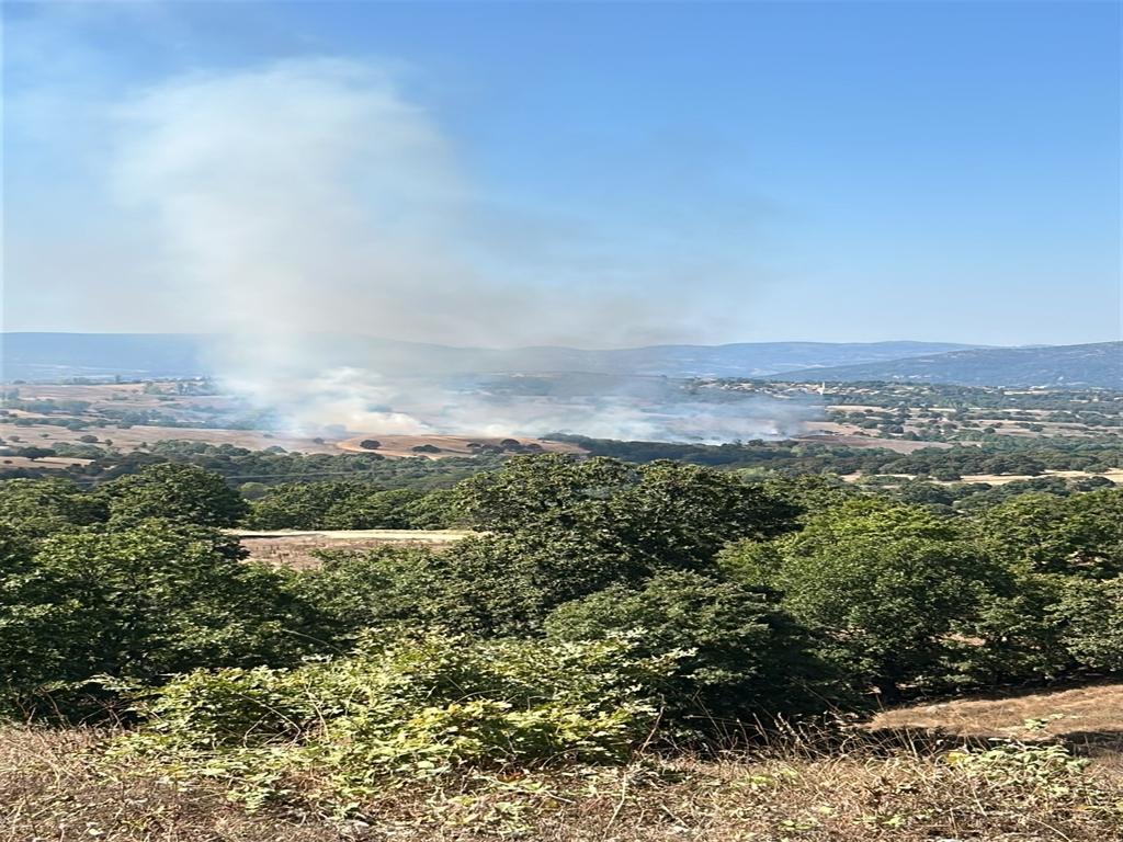 Bursa’da orman yangını
