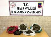 istanbulda ofis kiraları