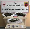 istanbulda ofis kiraları