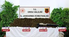 istanbulda ofis kiraları