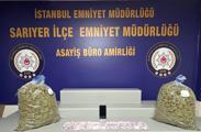 istanbulda ofis kiraları