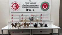 istanbulda ofis kiraları