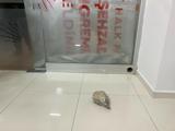 istanbulda ofis kiraları