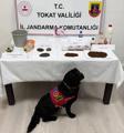 istanbulda ofis kiraları