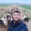istanbulda ofis kiraları