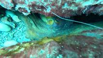 istanbulda ofis kiraları