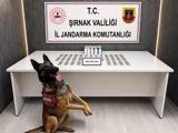 istanbulda ofis kiraları