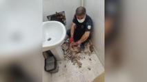 istanbulda ofis kiraları