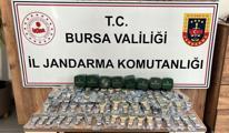 istanbulda ofis kiraları