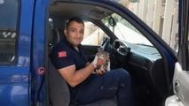 istanbulda ofis kiraları