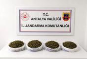 istanbulda ofis kiraları
