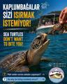 istanbulda ofis kiraları