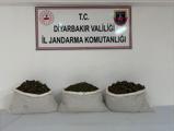 istanbulda ofis kiraları