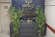 istanbulda ofis kiraları