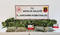 istanbulda ofis kiraları