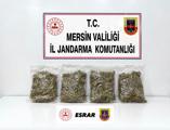 istanbulda ofis kiraları