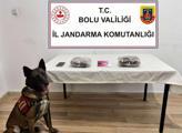 istanbulda ofis kiraları