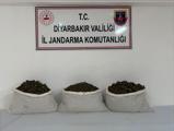 istanbulda ofis kiraları