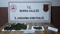 istanbulda ofis kiraları