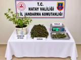 istanbulda ofis kiraları