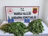 istanbulda ofis kiraları