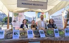 Zeytin ve Zeytinyağı Festivali kortejle başladı