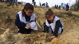 Samsun’da 37 bin 380 adet fidan toprakla buluştu