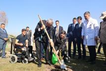 Bakan Memişoğlu, gazilerle fidan dikti