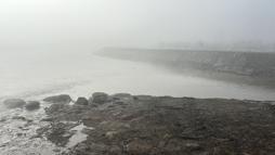 Sivas'ta yoğun sis etkili oldu