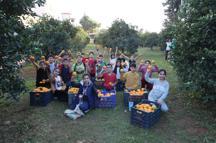 Dokumapark'tan toplanan portakallar ilçe halkıyla paylaşıldı