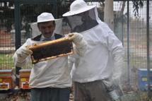 'İyi bal donar, mutlaka sıvı olması gerekmiyor'