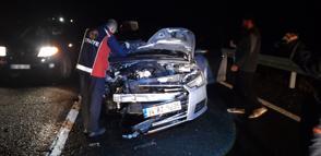 Mardin'de otomobilin çarptığı at öldü