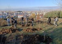 Dernek üyeleri fidan dikti