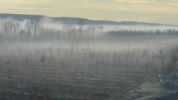 Dicle Vadisi'nde sis manzarası