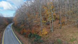 Dumanlı Dağı'nda sonbahardan kalma renk cümbüşü