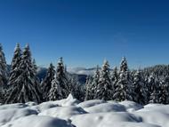 Ordu'da 2 bin rakımlı yaylada kar manzarası