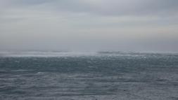 Samandağ'da rüzgar hayatı olumsuz etkiledi