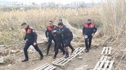 Aranan hükümlü sazlıkta yakalandı