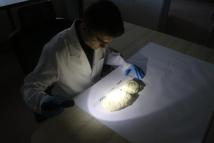 ‘Masumane şekilde kargo teslimi için atılan imza, aslında boş bir senede atılmış olabilir’/Ek fotoğraflar