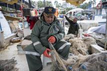 Küçük ölçekli balıkçılara destek