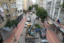 Akdeniz’de ağaçlara kış bakımı