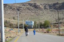 Küresel ısınmaya karşı 2 yılda 20 binden fazla tohum ekip, fidan dikti / Ek fotoğraflar