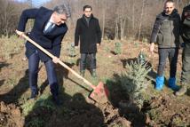 Bolu'daki yangın faciasında ölen 78 kişi için hatıra ormanı
