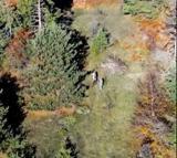 Dron ve fotokapan destekli doğa koruma denetimi; 4 kişiye işlem yapıldı