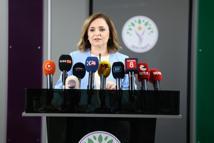 DEM Parti'li Doğan: Silah bırakan herkes düzenleme kapsamına girmeli