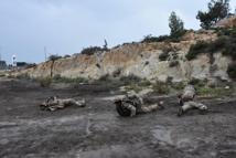 Jandarma Komando Özel Harekat birlikleri, ‘Savaşçı Yarışması'nda mücadele ediyor / Ek fotoğraflar