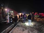 Malatya'da milyonluk yarış tayları çiftlikten kaçtı; 8'i öldü, bazıları kayıp